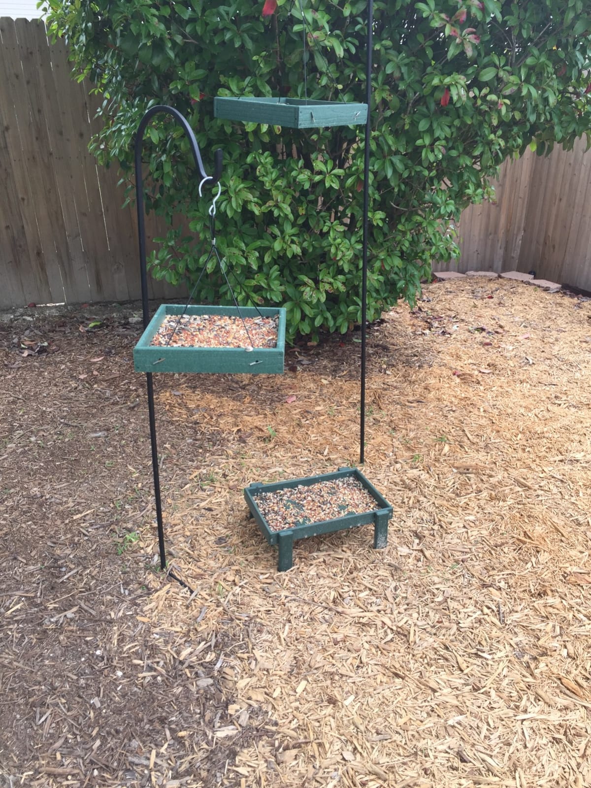 DutchCrafters Amish American Made Platform Bird Feeder, Free Standing Ground Bird Feeders for Outdoors, Feeder for Wild Birds, Chicken, Squirrel, Gift for Birdwatchers (Turf Green with Reinforcement) customer photo 2