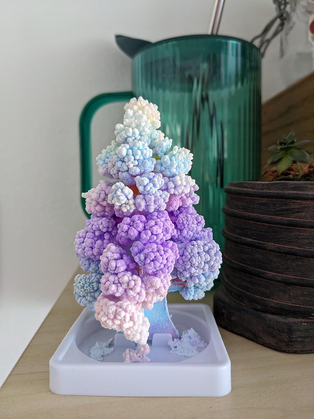 National Geographic Crystal Growing Craft Kit to Create a Crystal Garden | Fast 6-Hour Growing Time, Colorful Crystal Garden, Art Project, Real Geode Specimen, STEM Crafts for 8-12, Birthday Gift customer photo 2