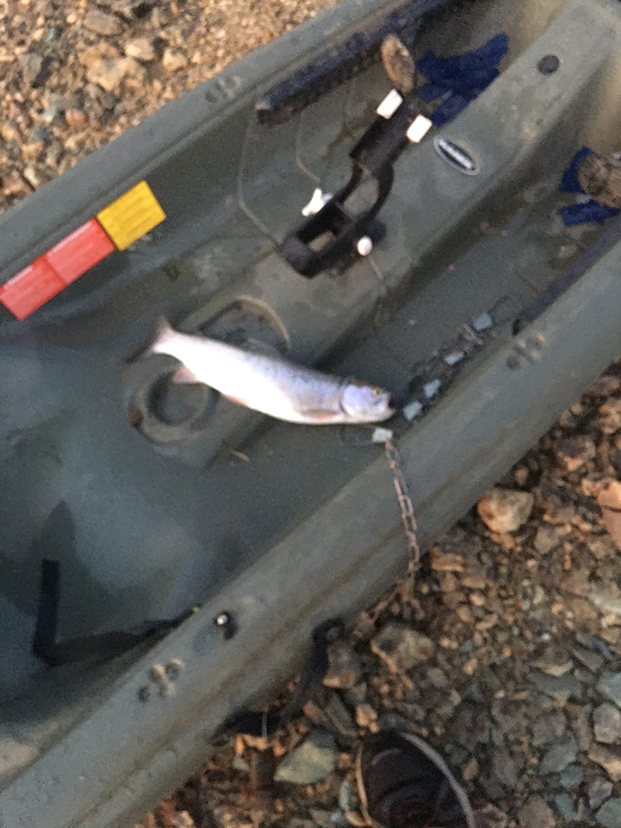 Garmin Striker Cast, Castable Sonar, Pair with Mobile Device and Cast from Anywhere, Reel in to Locate and Display Fish on Smartphone or Tablet (010-02246-00) customer photo 2