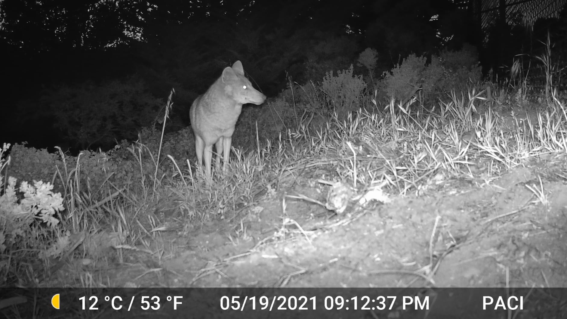 GardePro E5 Trail Camera, 48MP Photo & 1296P HD Video customer photo 2