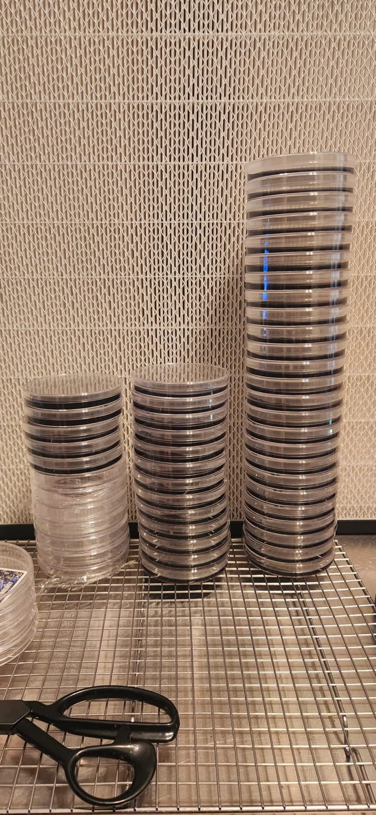 30 Pack 90 x 15mm Plastic Bioresearch Sterile Petri Dishes with Lids customer photo 1