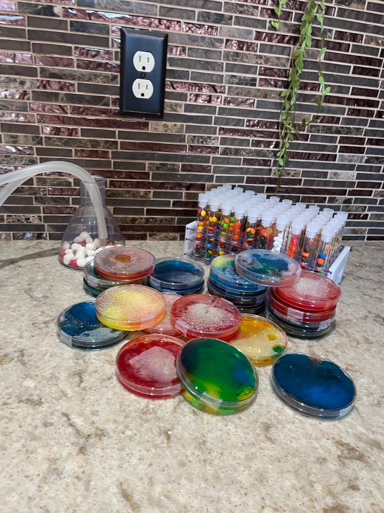 30 Pack 90 x 15mm Plastic Bioresearch Sterile Petri Dishes with Lids customer photo 2