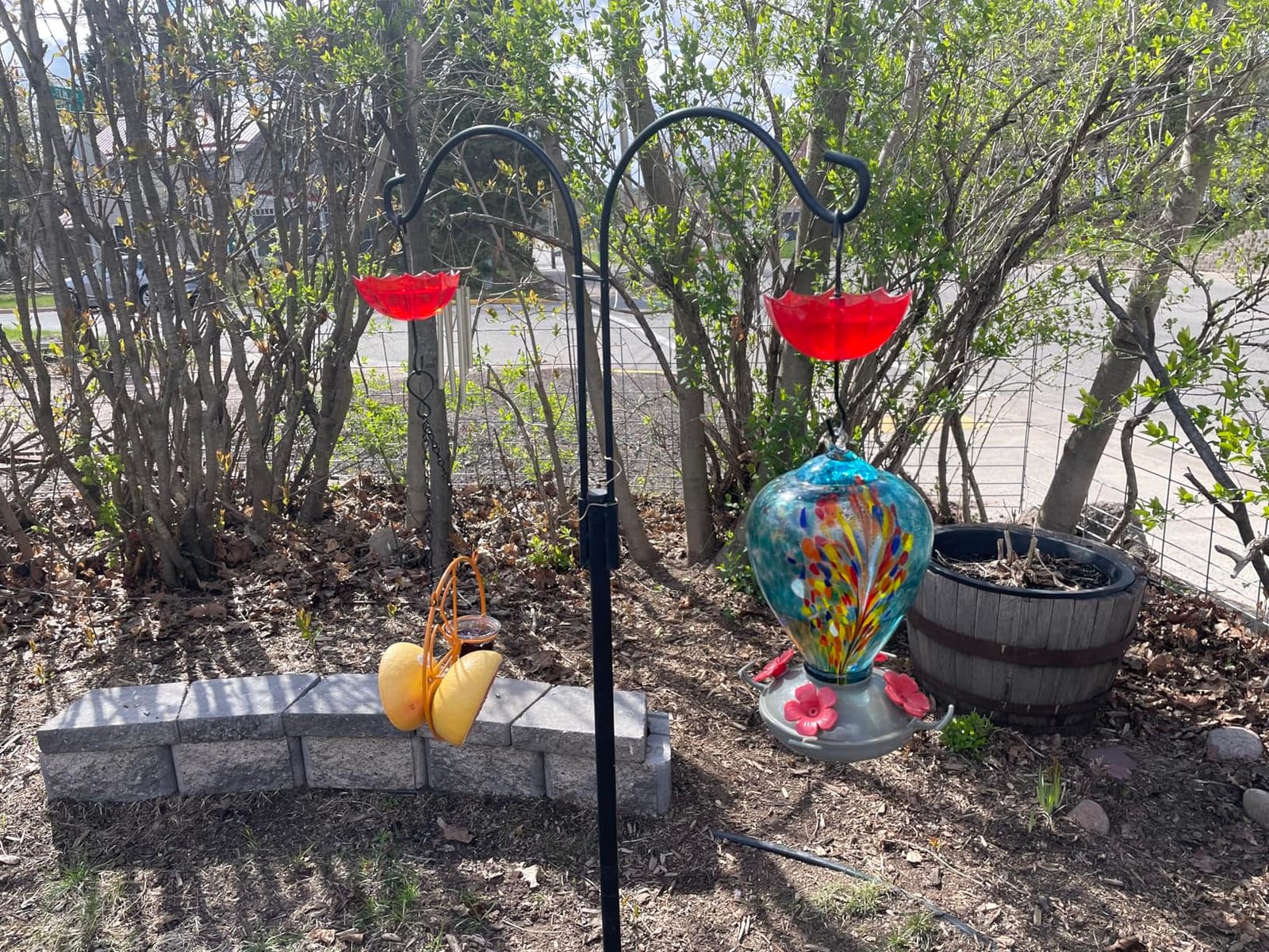 FORUP Oriole Bird Feeder for Outdoors Jelly and Oranges, Orange Fruit Oriole Jelly Bird Feeder, Outdoor Garden Metal Hanging Drinking Grape Jelly Container Hummingbird Feeder, One Pack customer photo 1