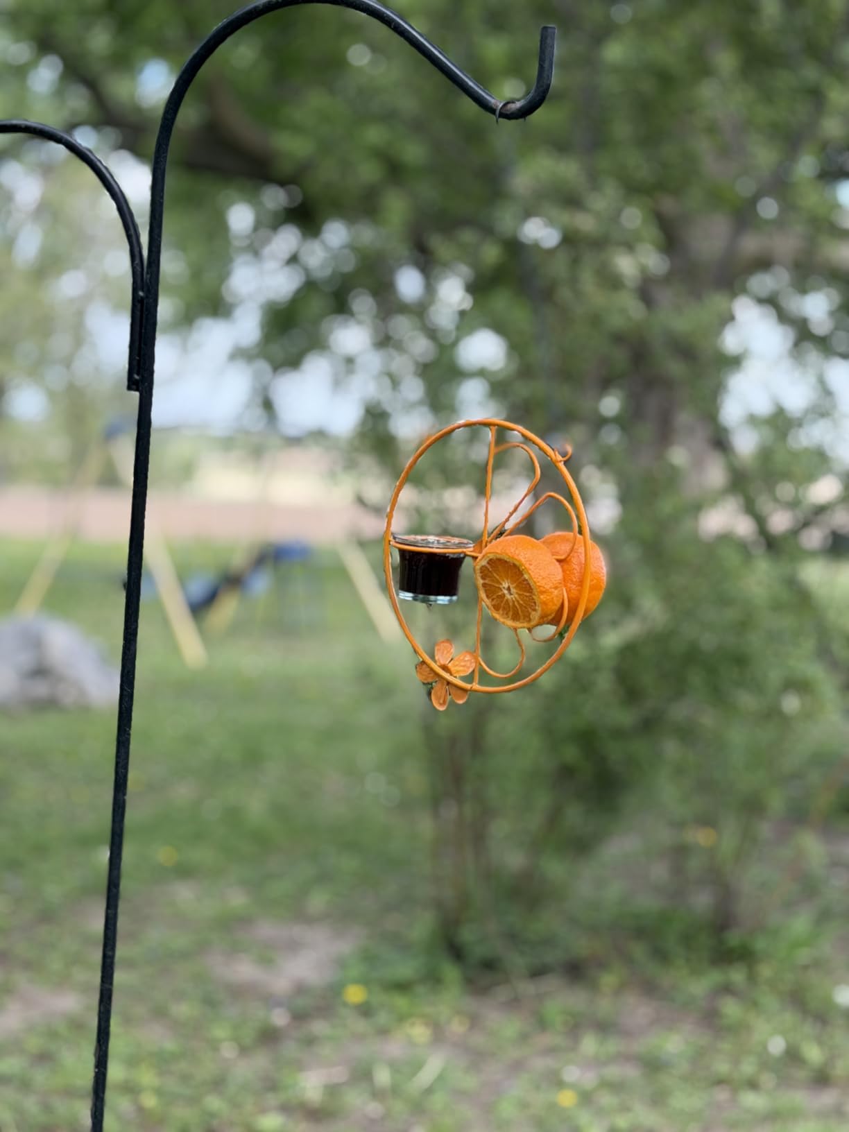 FORUP Oriole Bird Feeder for Outdoors Jelly and Oranges, Orange Fruit Oriole Jelly Bird Feeder, Outdoor Garden Metal Hanging Drinking Grape Jelly Container Hummingbird Feeder, One Pack customer photo 2
