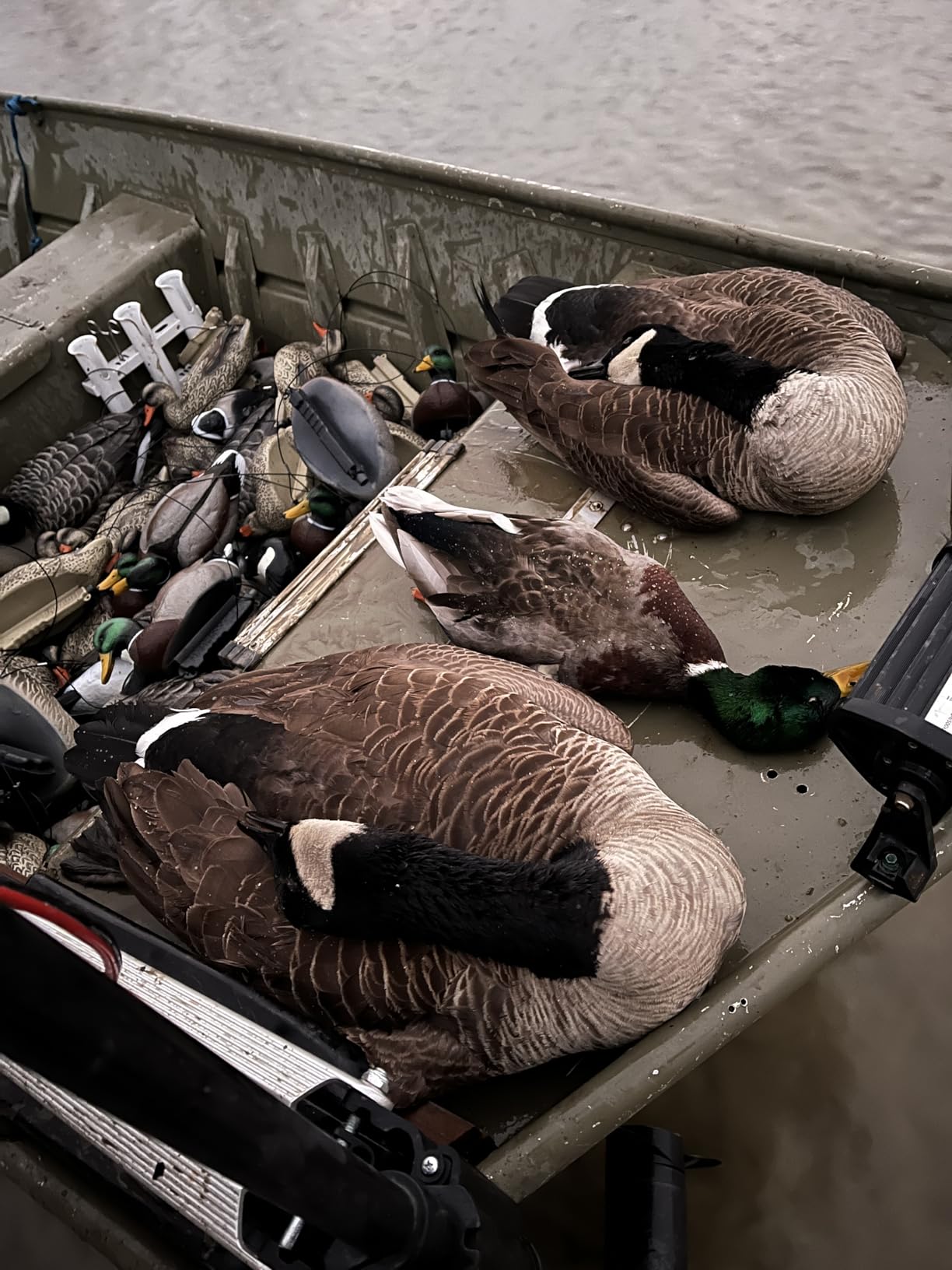 Final Approach Last Pass Canada Goose Floater Decoys, 6 Pack customer photo 1