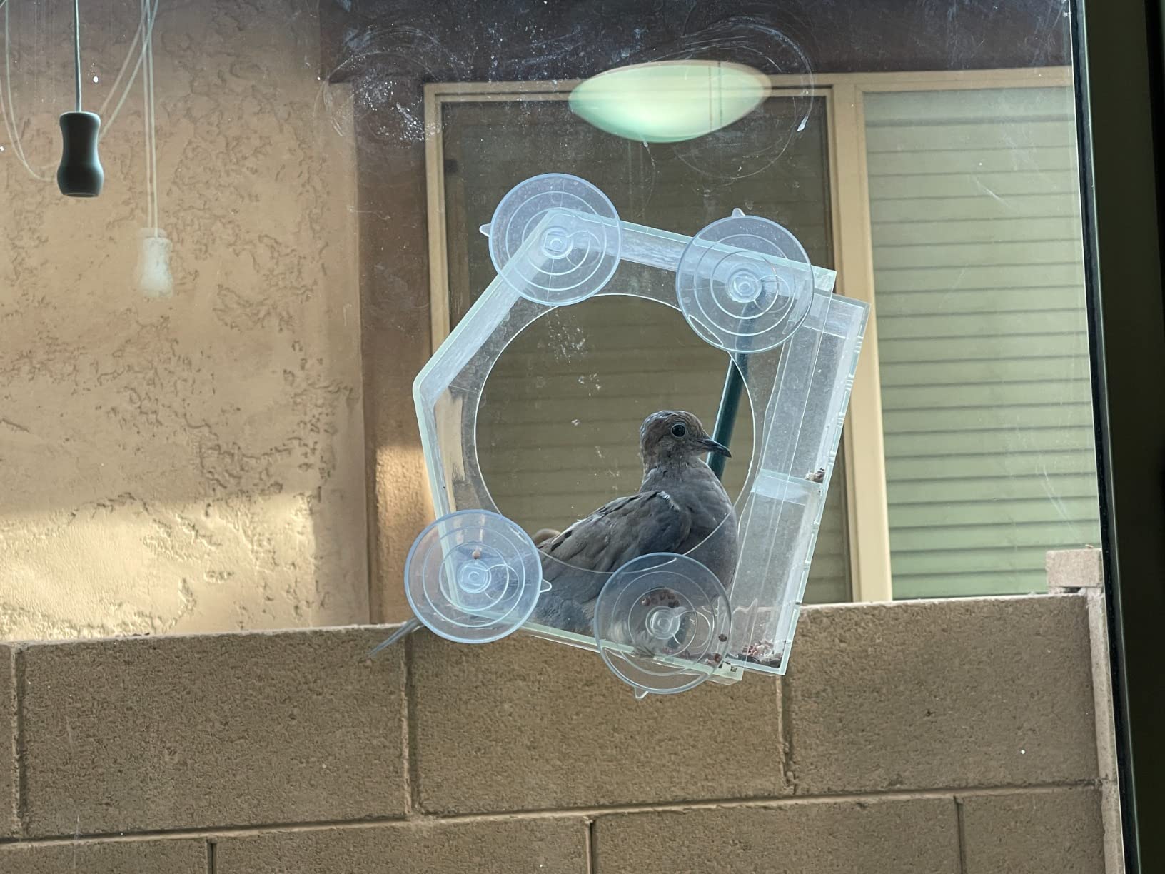 Mrcrafts Window Bird Feeder for Outside with Strong Suction Cups, Fits for Cardinals, Finches, Chickadees etc. customer photo 1