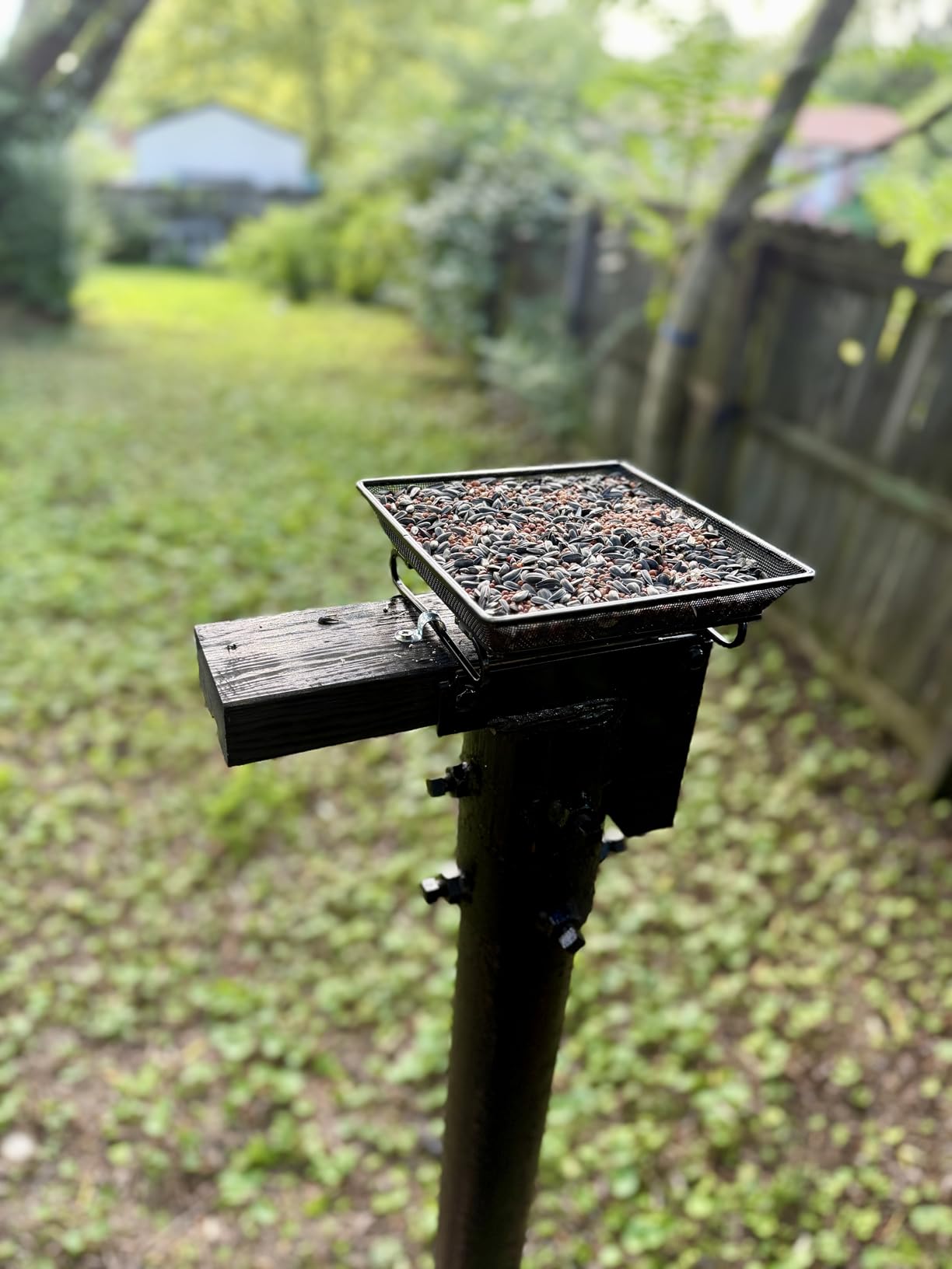 Ground Bird Feeder Tray 8 inches Square Platform Metal Mesh Seed Holder Outdoor Garden Decoration for Attracting Wild Birds customer photo 1