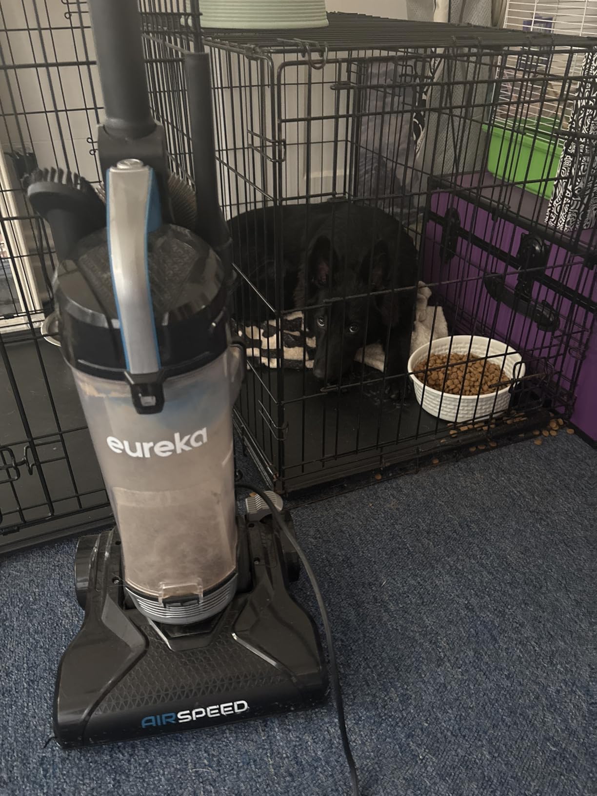 Eureka Vacuum Cleaners for Home,Airspeed Ultra-Lightweight, NEU10AE5 customer photo 2