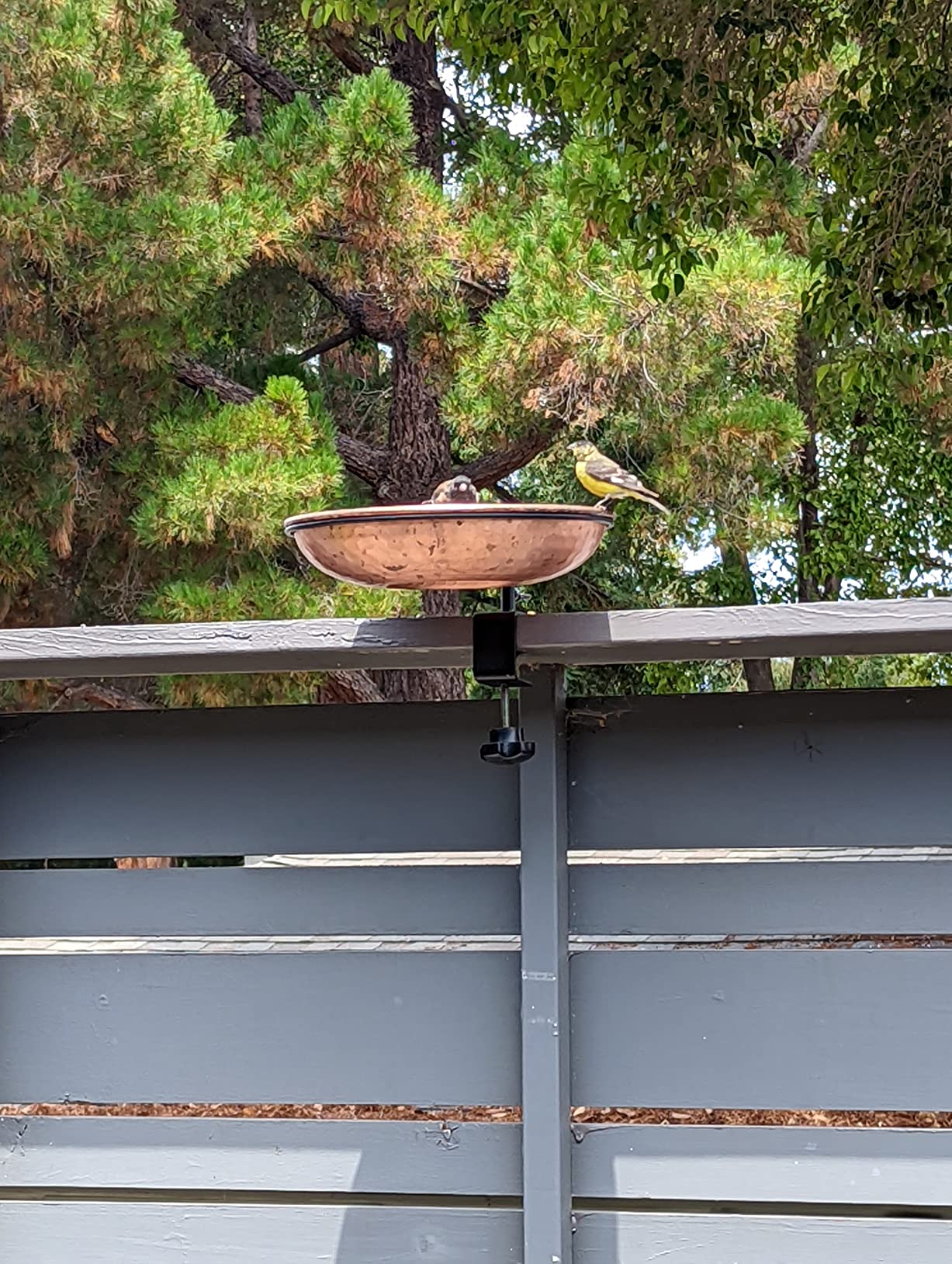 Monarch Abode Deck Mounted Bird Bath & Bird Feeder for Outdoors - Pure Copper Hand Hammered Birds Bath Bowl w/Detachable Iron Clamp, Birdfeeder and Birdbath for Outdoors Garden Backyard customer photo 1