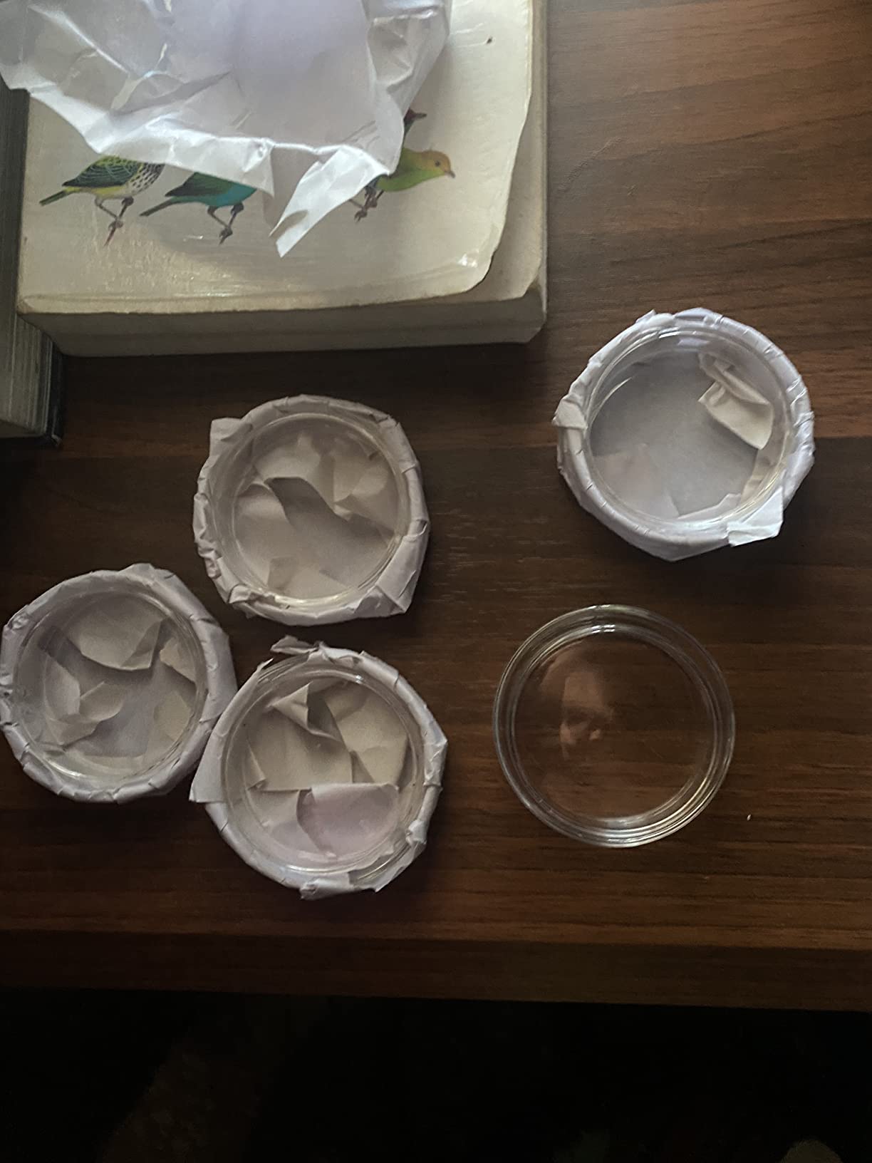 QWORK Glass Petri Dish Petri Plates with Lid, Thicken, 60mm x 18mm, 5 Pack customer photo 2