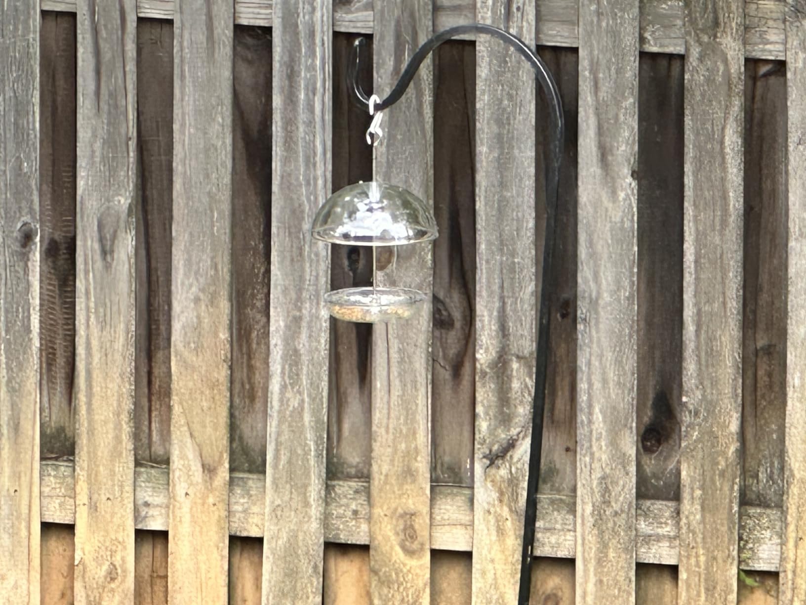 Mealworm Feeder - Jacobi Jayne Pearl Feeder - Dome Bird Feeder for Small Birds - Bluebird Feeder for Mealworms - Platform Bird Feeder with Dome Cover customer photo 1