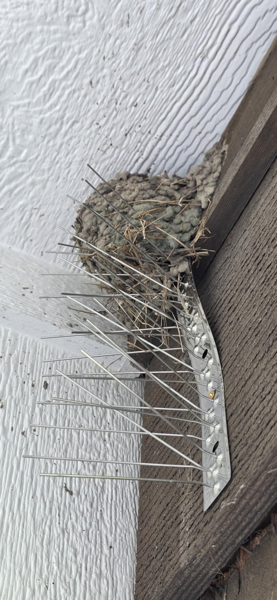 OFFO Bird Spikes for Outside, 304 Stainless Steel, 4 Pcs, 3.4 Ft (1.04 m) customer photo 1
