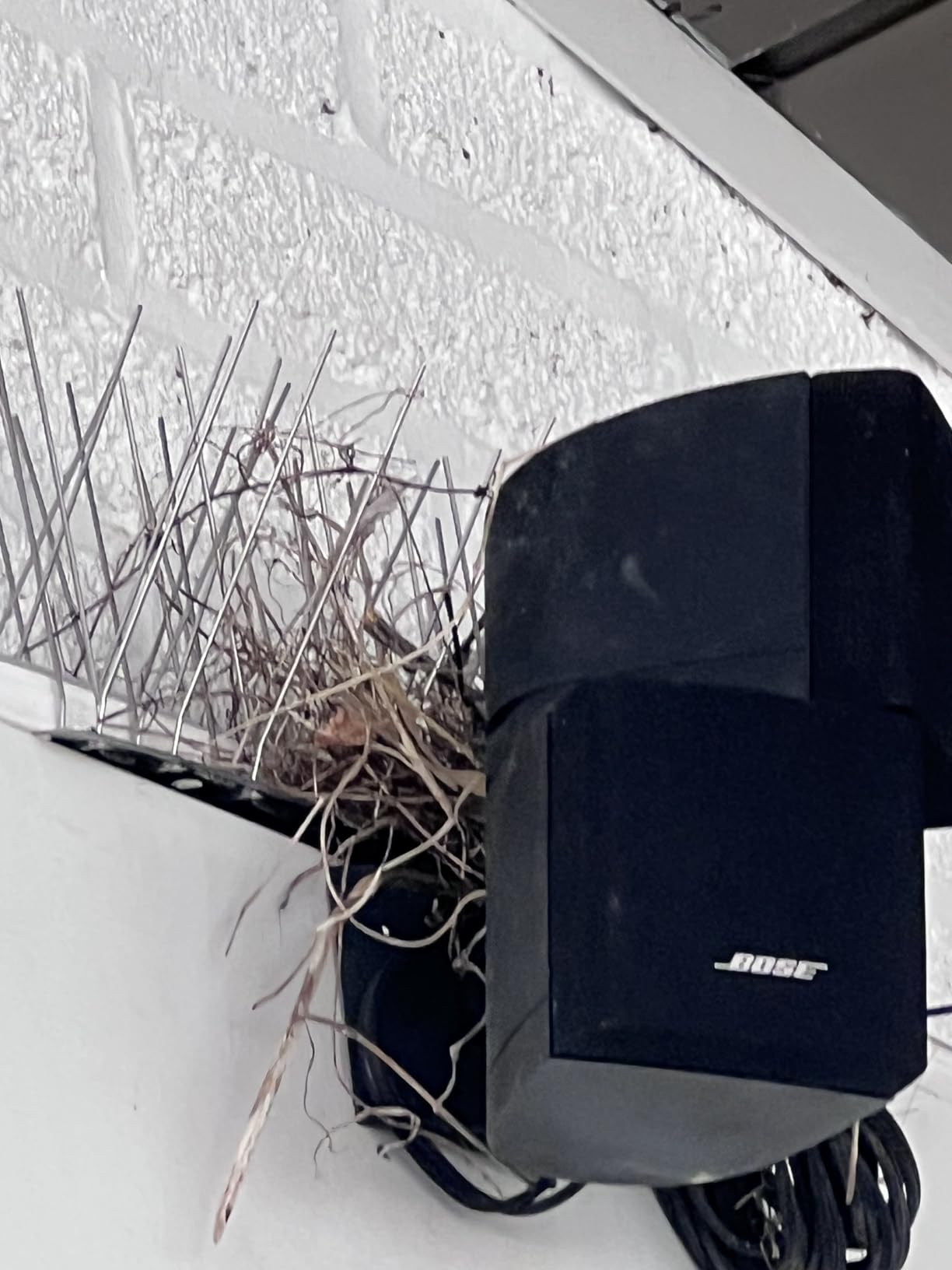 OFFO Bird Spikes for Outside, 304 Stainless Steel, 4 Pcs, 3.4 Ft (1.04 m) customer photo 2
