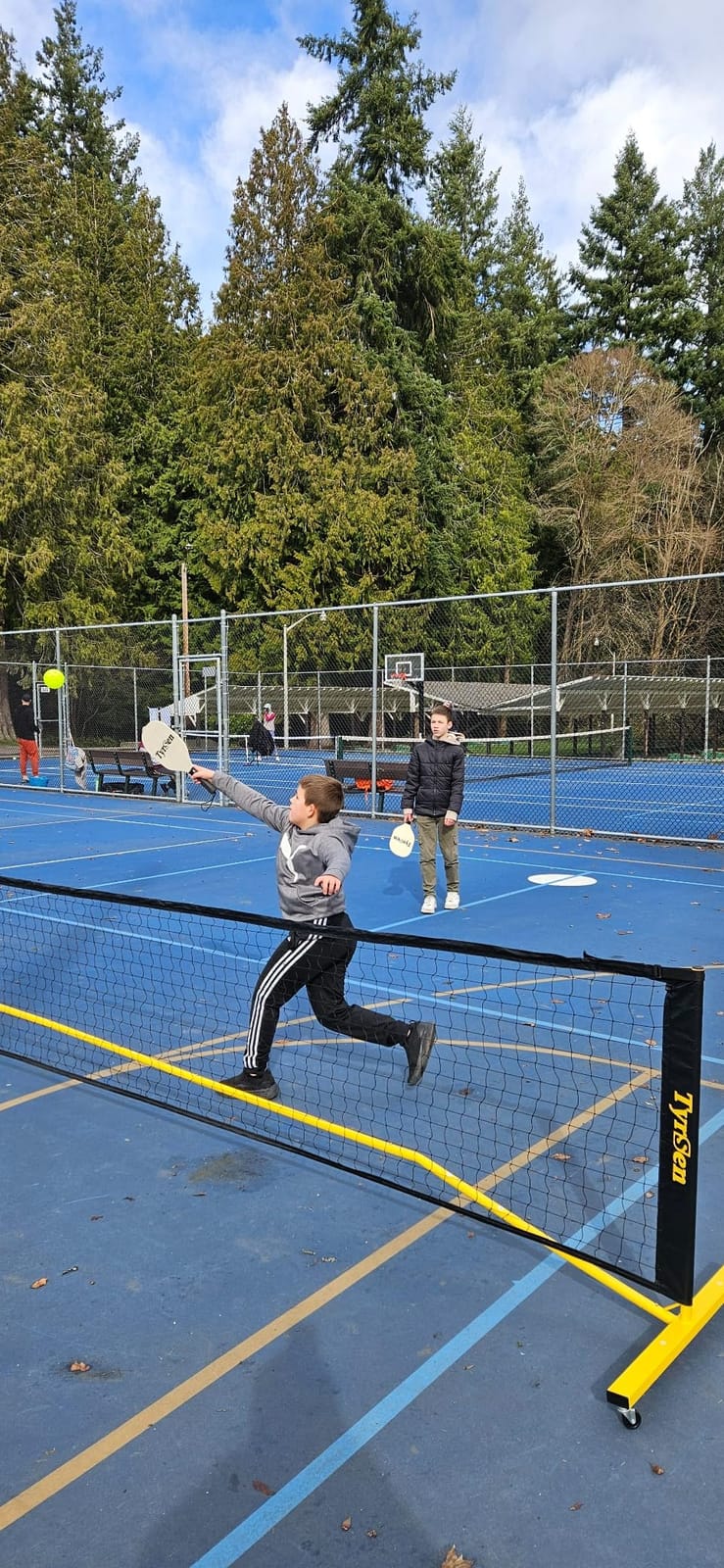 Pickleball Net Set, Pickleball Net on Wheels for Driveway Backyard, 22FT Regular Size, 4 Pickleball Paddles & 6 Balls, 12 Court Markers, 1 Carry Bag, Pickleball Set for Indoor Outdoor Play customer photo 1
