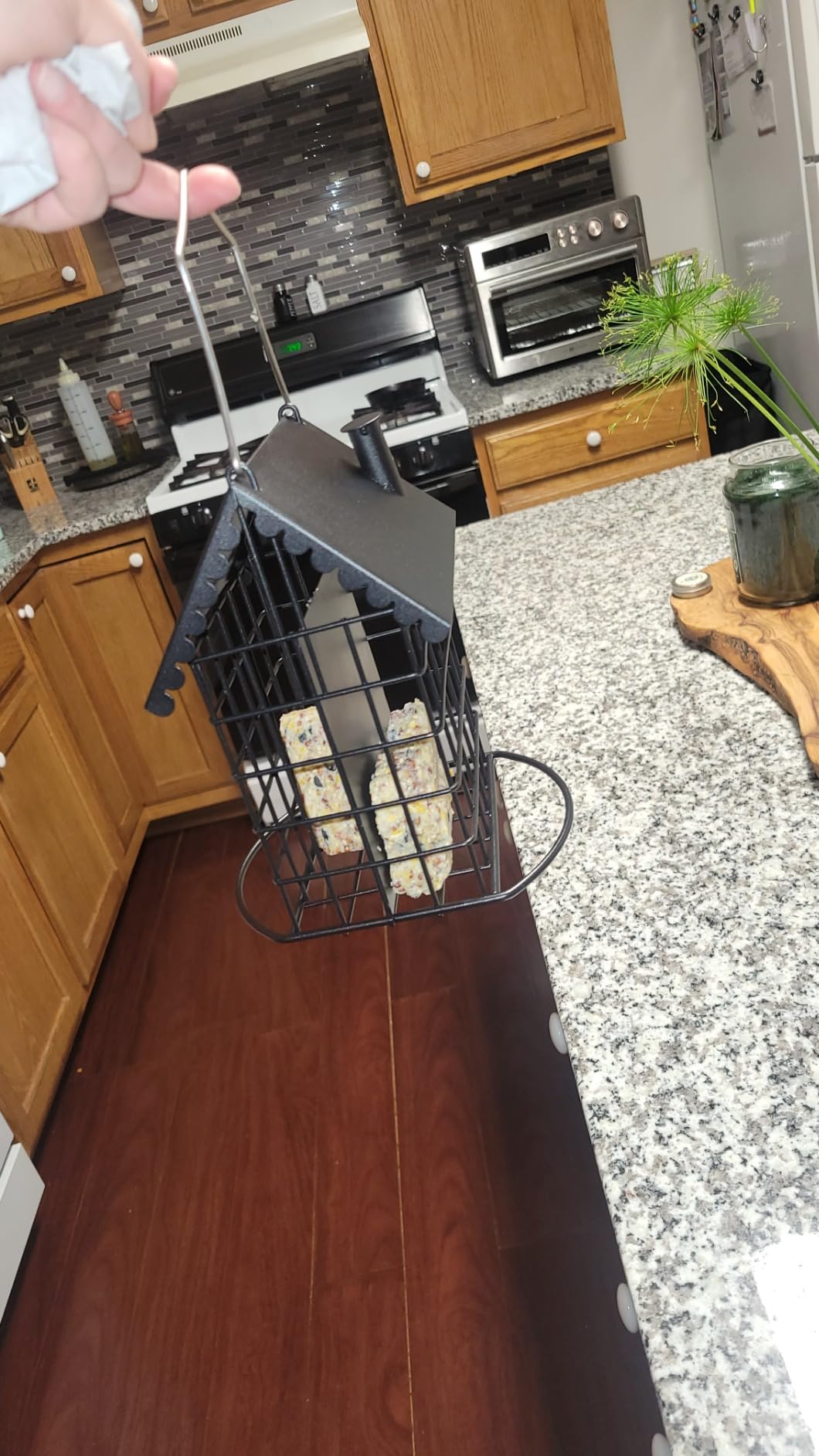 Kingsyard All Metal Double Suet Bird Feeder with Perch customer photo 2