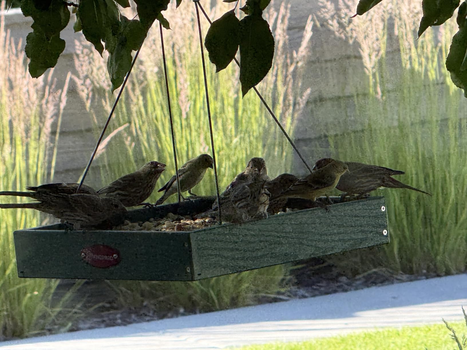 Kingsyard Platform Bird Feeder for Outdoors, Hanging Feeding Tray - Recycled Poly Lumber, Weatherproof, 11x11 Tray, Holds up to 3 lbs Seeds or Mealworms customer photo 2