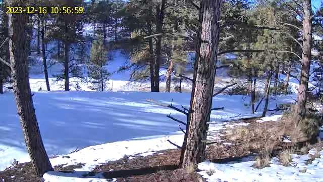 Xega 4G LTE Solar Cellular Security Camera with SIM Card, No WiFi Needed customer photo 2