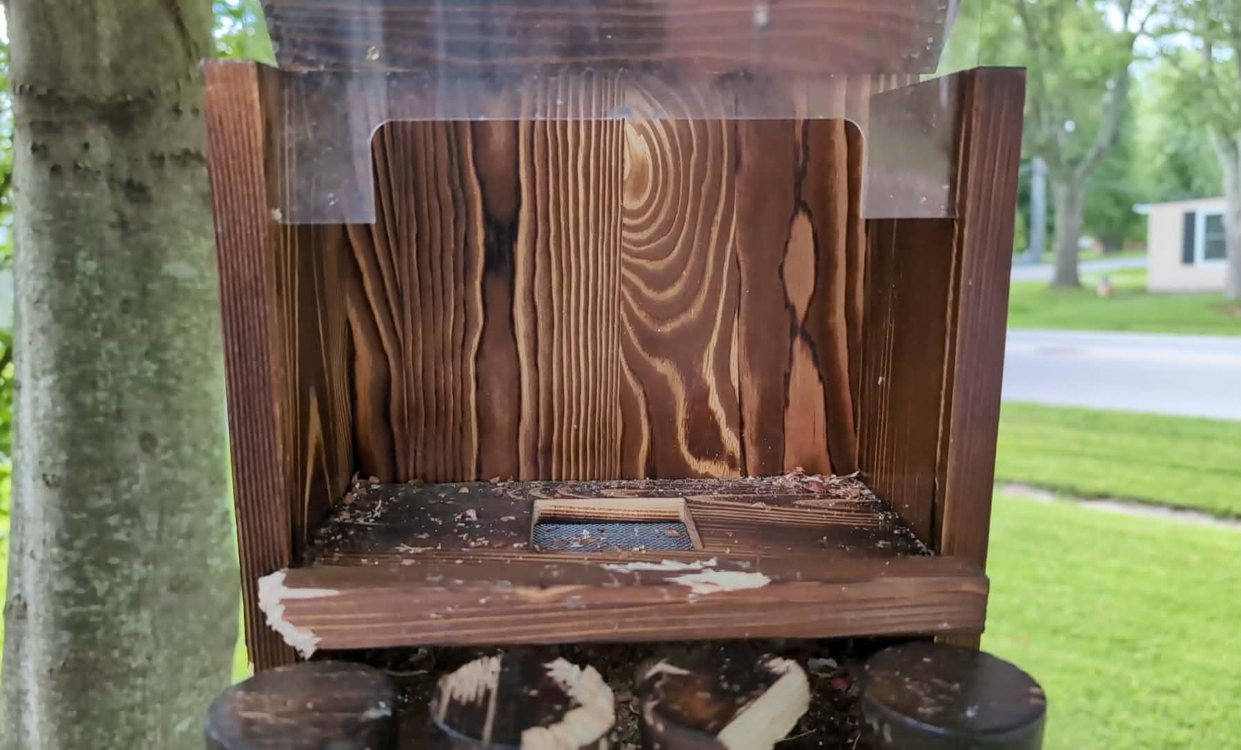Carbonized Squirrel Feeder, Large Squirrel Feeders for Outside Funny Squrrill Nuts Bar, Durable Wooden Chipmunk House Box for Corn Peanuts customer photo 1