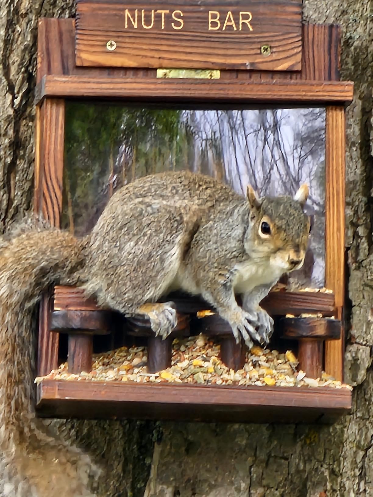 Carbonized Squirrel Feeder, Large Squirrel Feeders for Outside Funny Squrrill Nuts Bar, Durable Wooden Chipmunk House Box for Corn Peanuts customer photo 2