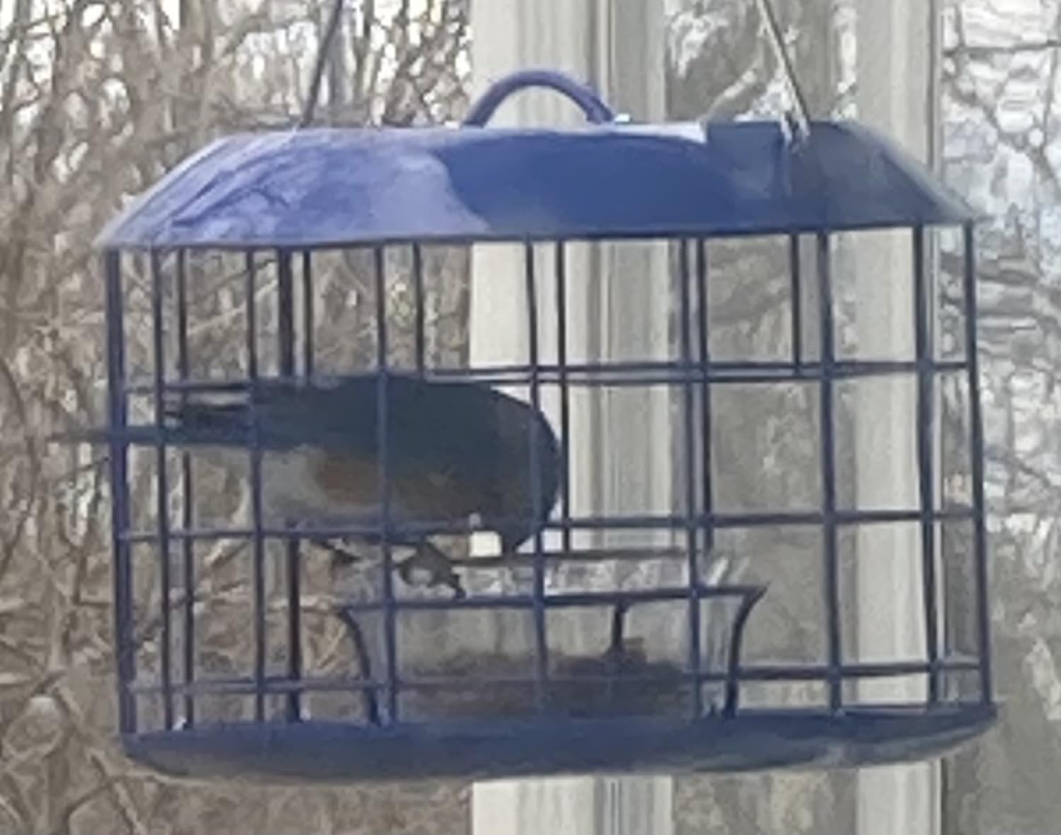 Kingsyard Bluebird Feeders for Outdoors Hanging | Metal Cage Bird Feeder with Tray, Squirrel Proof, for Small wildbirds, Weatherproof, Easy to Refill and Clean, Blue customer photo 2