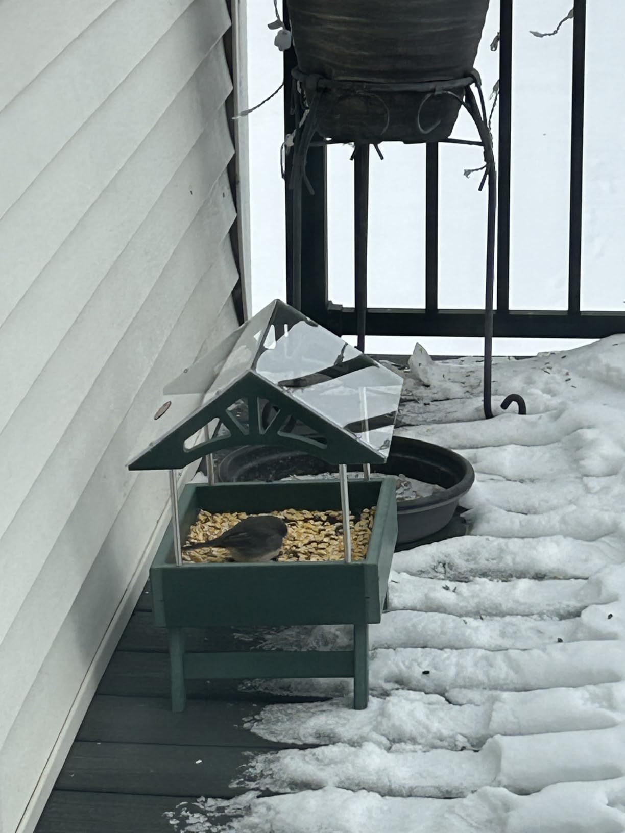Kingsyard Covered Platform Ground Bird Feeder for Outdoors, Green | Rain-Resistant Roof, Weather-Resistant Recycled Poly Lumber, Metal Mesh Bottom, Foldable Legs, Tool-Free Assembly customer photo 2