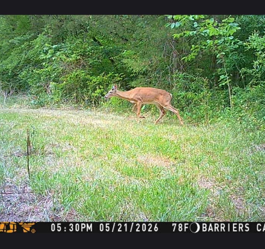 Muddy Mitigator Cellular 24MP Imaging customer photo 1