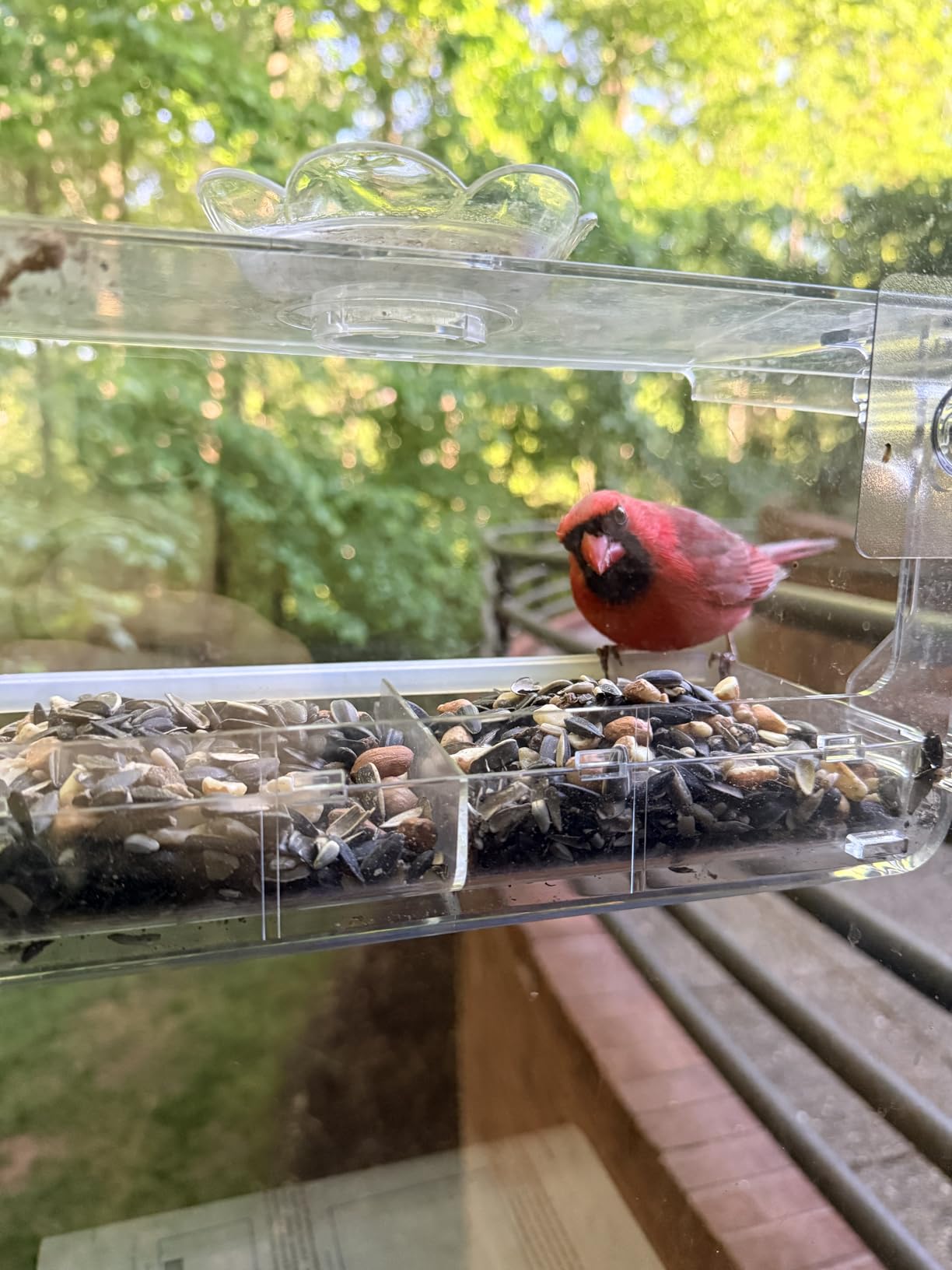 WENMIXER Window Bird Feeder with Non-Marking Self-Adhesive Hooks | Stronger Than Suction Cups, Food & Water Feeder, Clear Close-up Birdwatching, Weatherproof, Easy-fill, Gift For Bird Lovers customer photo 1
