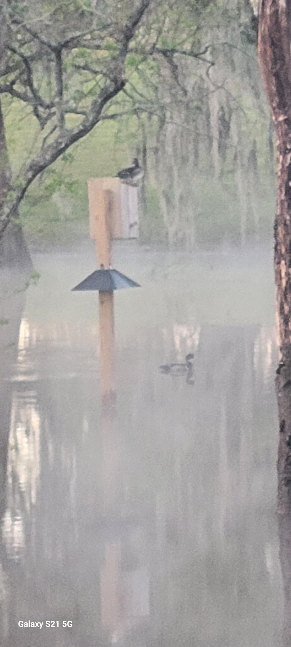 2 Wood Duck Nesting Boxes customer photo 1