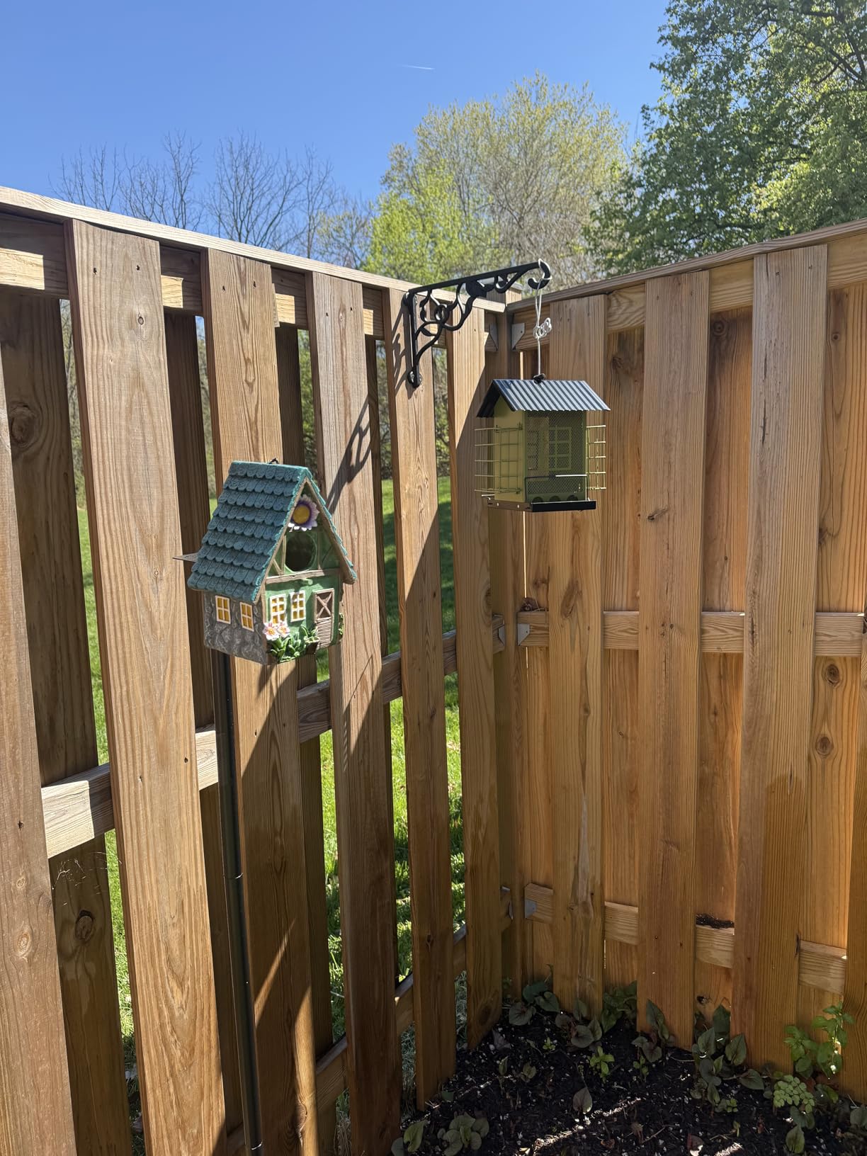 FlowaFoli Bird Feeders for Outdoors Hanging, Metal Bird Feeder with Double Suet Cage Cake, Large Capacity, Birdfeeders Sturdy & Weatherproof, Easy to Clean & Refill, Great for Attracting Wild Birds customer photo 2