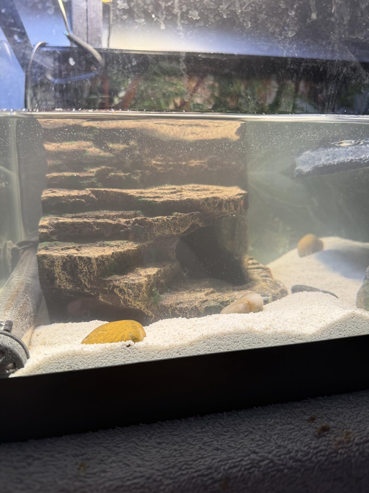 Resin Reptile Hideouts Cave Habitat Decor, B- Extra Large | For Gecko, Leopard Lizards, Toad, Turtle customer photo 1