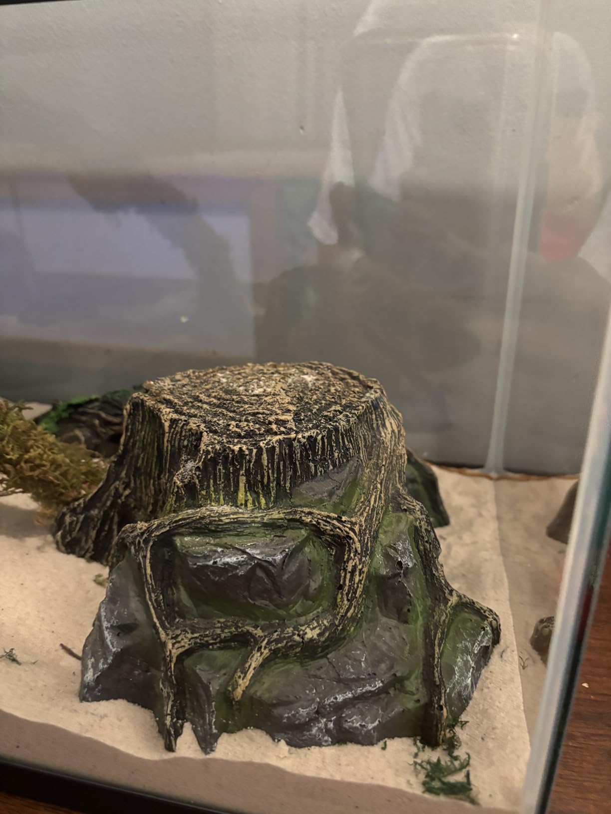 Resin Reptile Hideouts Cave Habitat Decor, B- Extra Large | For Gecko, Leopard Lizards, Toad, Turtle customer photo 2
