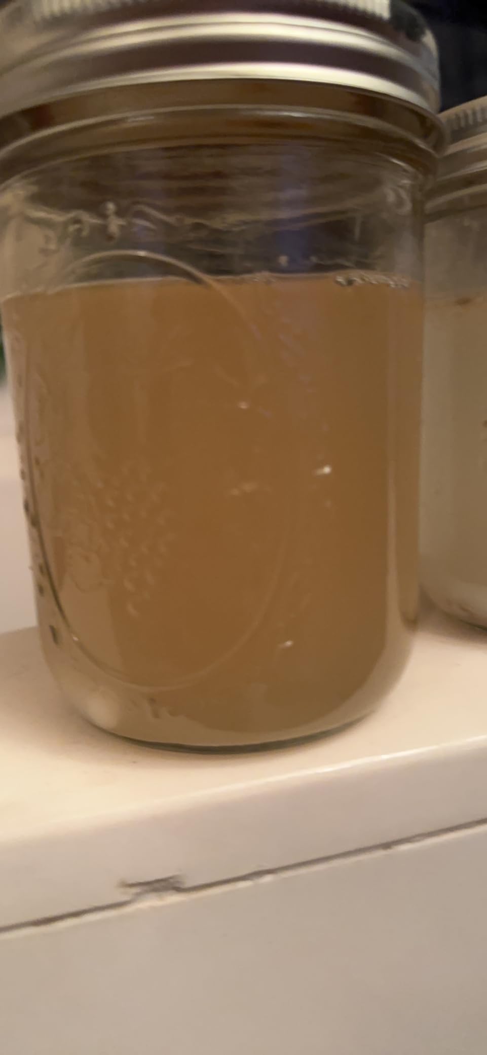 Premium Liquid Culture Kit Easy Spore Germinating & Mushroom Cloning System customer photo 1