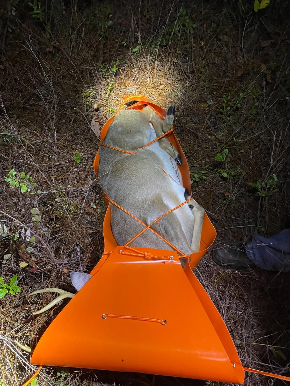 Deer Drag Sled Game Glide - Deer Cart Game Hauler Thickened Tear-Resistant Hunting Accessories and Gear for Hauling Hunter's Trophy - Perfect Hunting Gift for Men customer photo 1