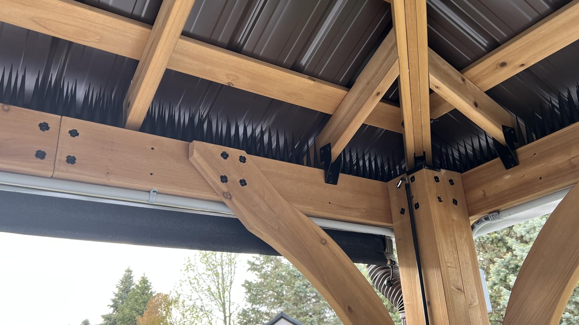 OFFO Bird Spikes Pigeon Outdoor Spikes for Cat Keep Birds Raccoon Woodpecker Away Covers 4 Feet(1.2m), Brown customer photo 2