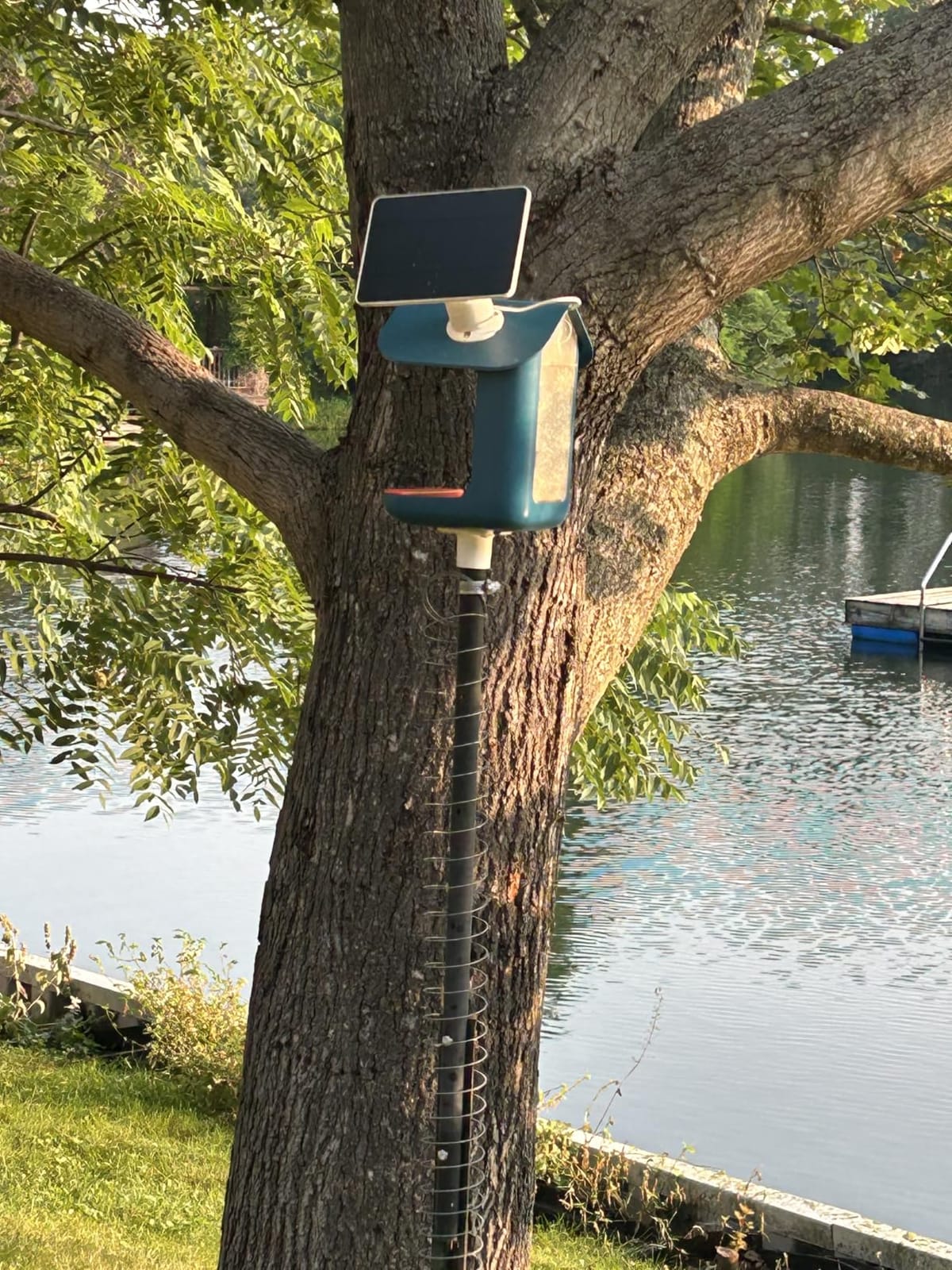 Bird Feeder Camera Solar Panel Replacement Compatible with NETVUE, Bird Buddy, HARYMOR, Fazoxo, SOLIOM, VIMKIM Bird Feeder with Battery Camera, 4W 5V Solar Panel 9.8ft Charging Cable DC 3.5 Connector customer photo 1