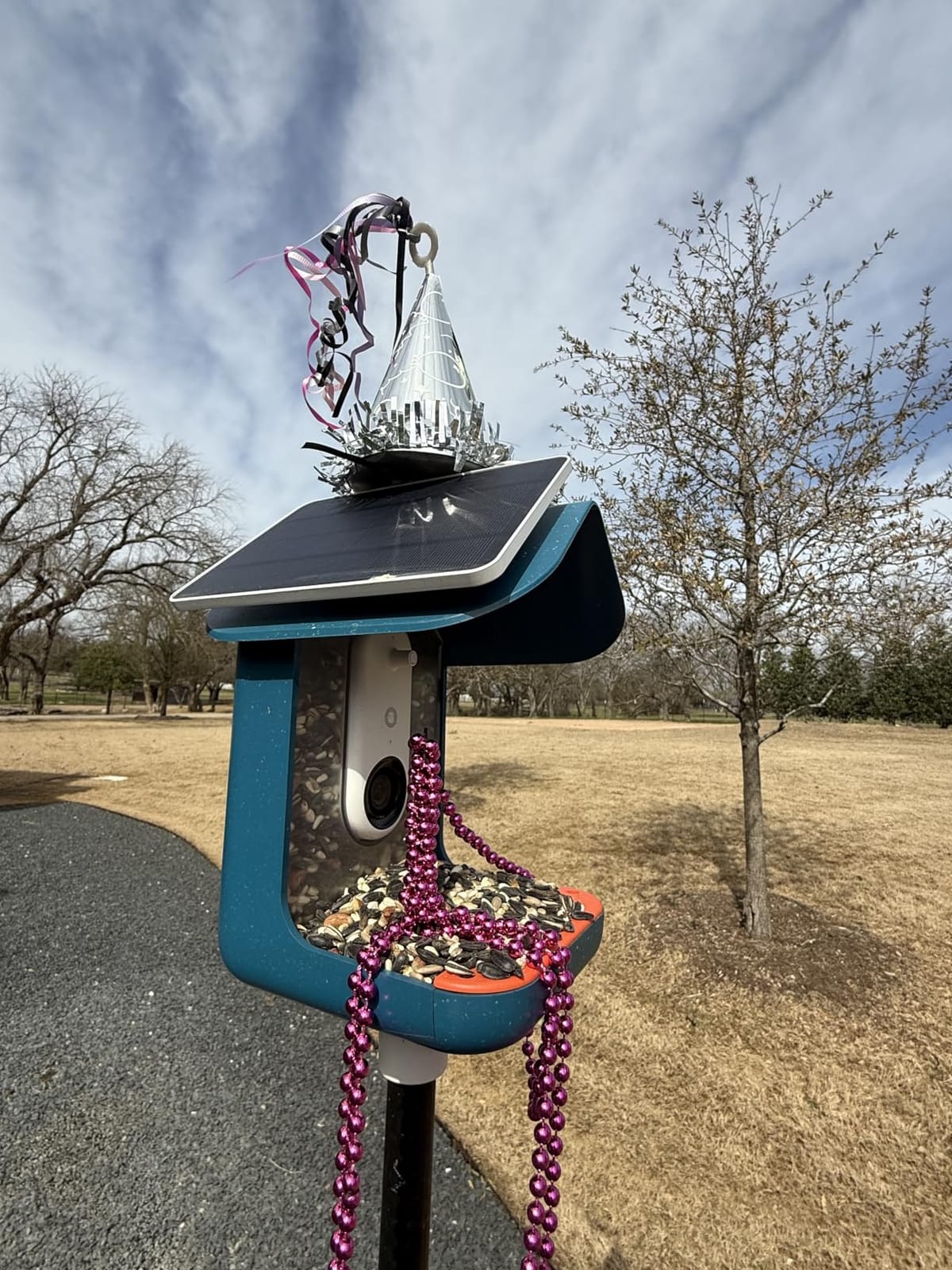 Bird Feeder Camera Solar Panel Replacement Compatible with NETVUE, Bird Buddy, HARYMOR, Fazoxo, SOLIOM, VIMKIM Bird Feeder with Battery Camera, 4W 5V Solar Panel 9.8ft Charging Cable DC 3.5 Connector customer photo 2