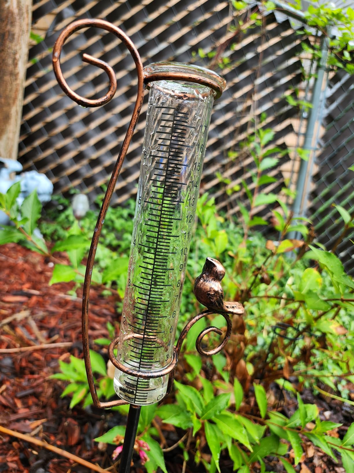 Dragonfly Rain Gauge Outdoor with 7 Inch Glass Tube | Measuring Precipitation, 28.6'' Tall Metal Garden Stake customer photo 1
