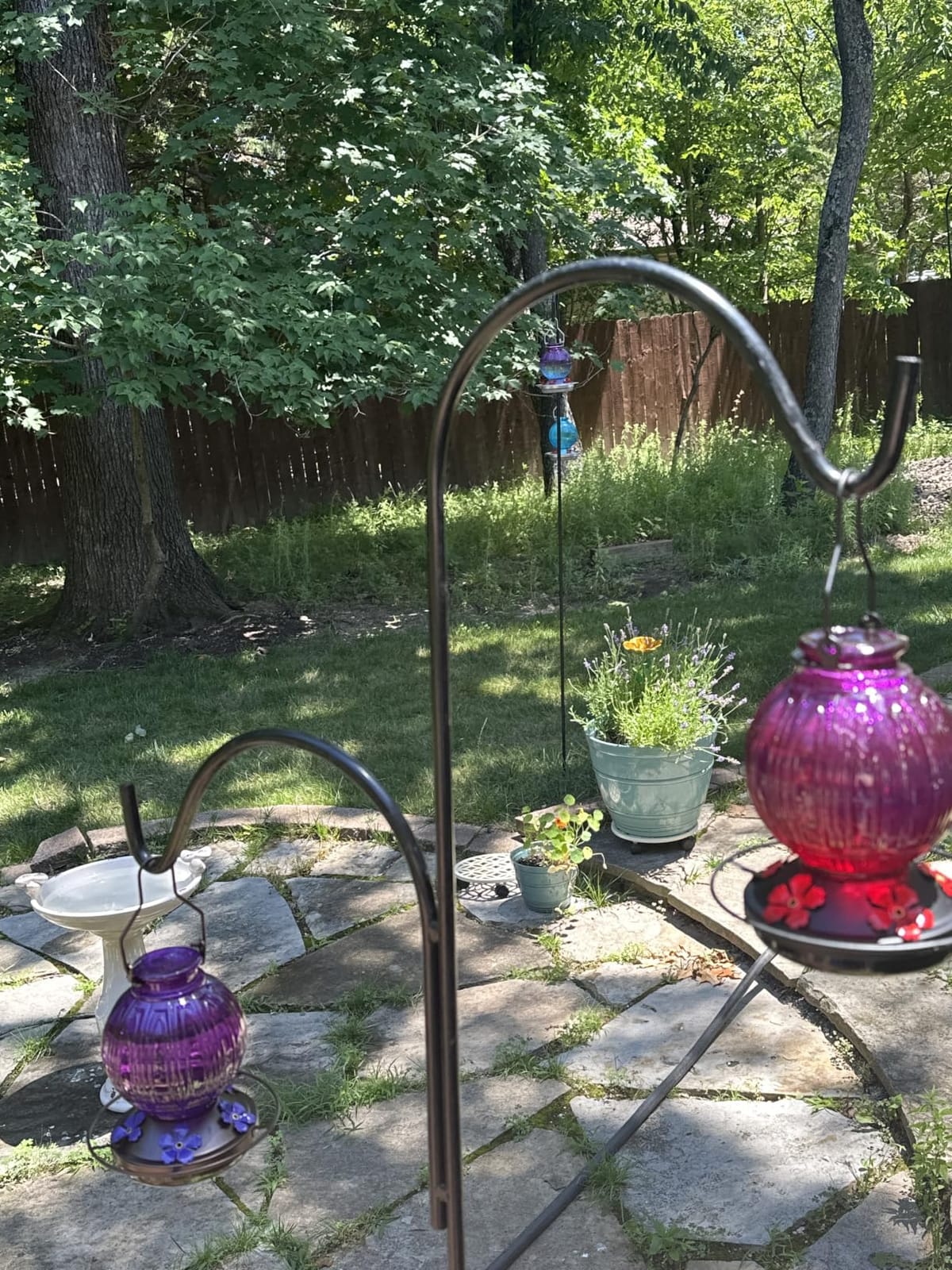 Glass Hummingbird Feeder for Outdoors Hanging, 26 fl oz Bird Nectar Feeder customer photo 1