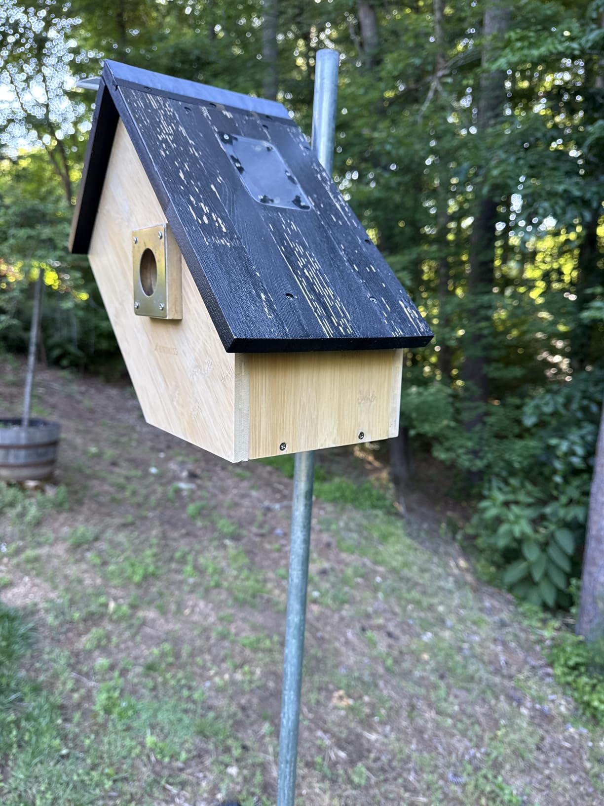 Birdkiss Smart Bird Houses for Outside Solar Powered, 1080P HD Live View Birdhouse with Camera, Perfect Viewing Bird Nesting and Hatching, Ideal Outdoors Bird House for Blue Bird and Cardinal (Green) customer photo 1