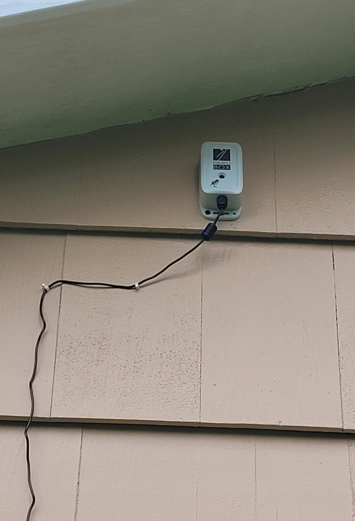 Bird Song & Call Identifier: 24/7 backyard sound identification | Better than a camera, uses sound to ID resident & migrating hummingbirds, warblers, hawks, owls, orioles, woodpeckers & more! customer photo 1