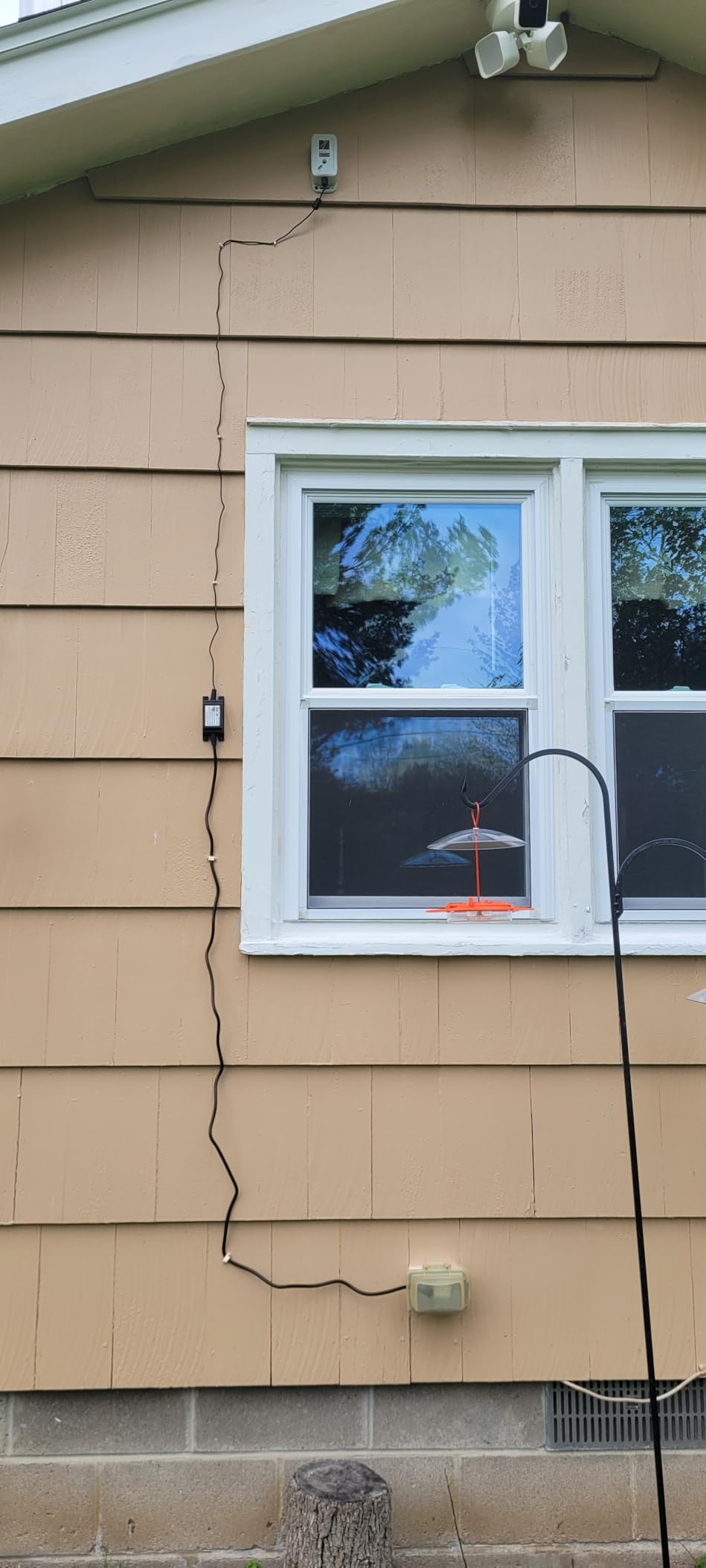 Bird Song & Call Identifier: 24/7 backyard sound identification | Better than a camera, uses sound to ID resident & migrating hummingbirds, warblers, hawks, owls, orioles, woodpeckers & more! customer photo 2