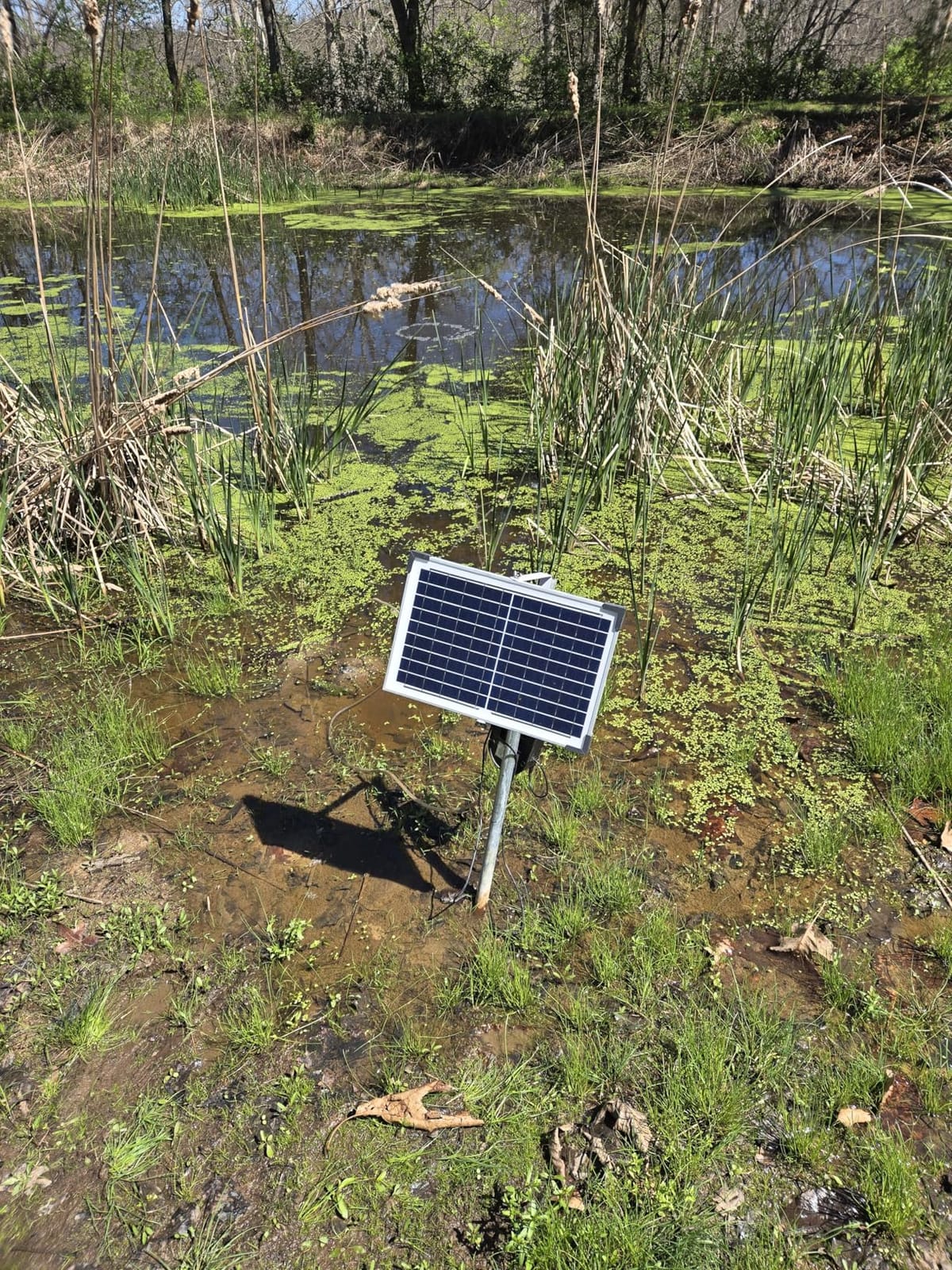 POPOSOAP 15W Solar Pond Aerator, Solar Aerators for Ponds with 4400mAh Battery, Solar Aquarium Air Pump with 2 Outlets and Power Display, 3 Mode Solar Air Pump for Fish Pond Tank Hydroponics Wildlife customer photo 1