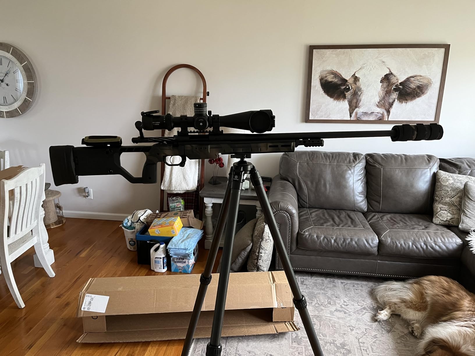 FANAUE ST-45 Carbon Fiber Hunting Tripod Arca Swiss QR Plate Ball Head for Shooting Rifle Spotting Scope DSLR customer photo 1