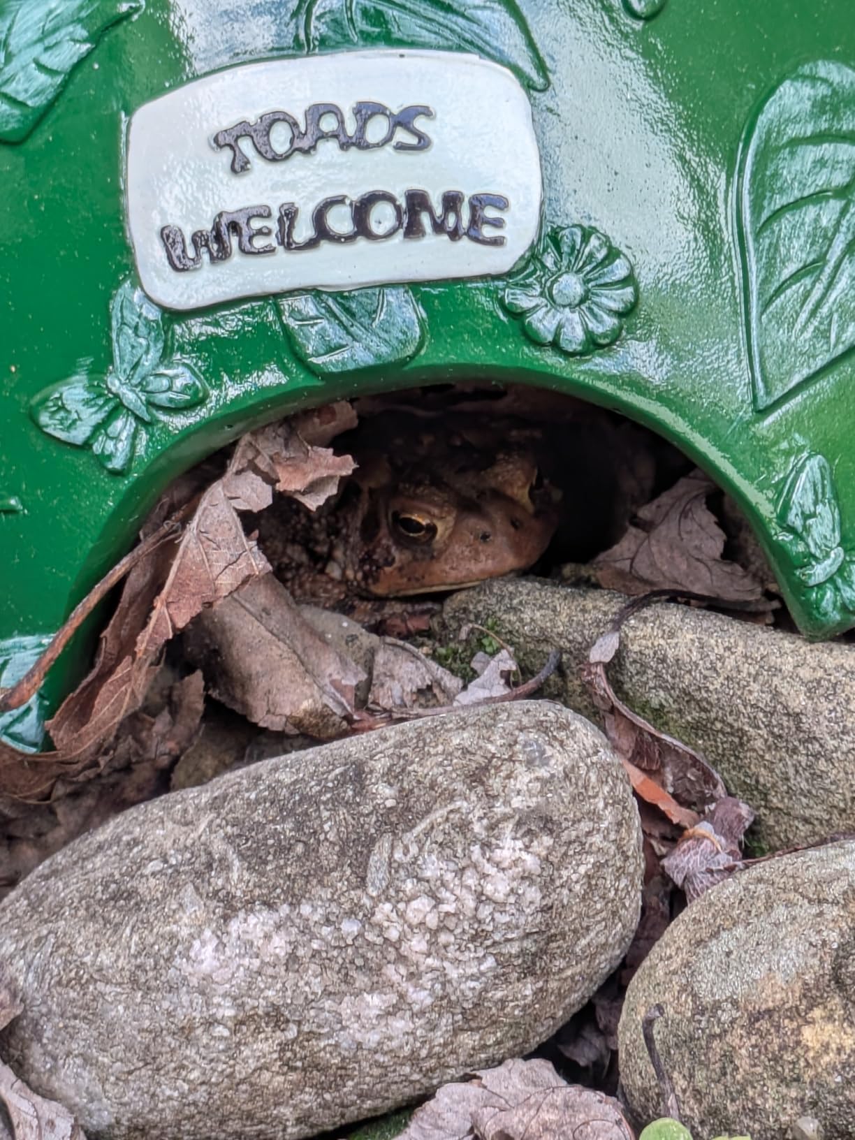 Toad House for Garden Outdoor, Reptile Hide Cave Frog, Red | Resin, 8 x 8 x 3.9 in Mushroom Design, Arch Entry Frog House Shelter, Turtle Lizard, Outdoor Patio Yard Aquarium customer photo 1