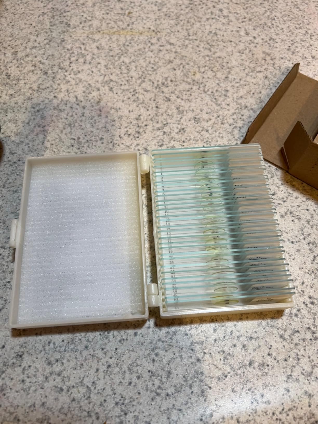 120 Microscope Slides with Specimens, Plant, Insect, Animal, Algae Slide Set for Biological Science Laboratory Basic Biological Science Education customer photo 2