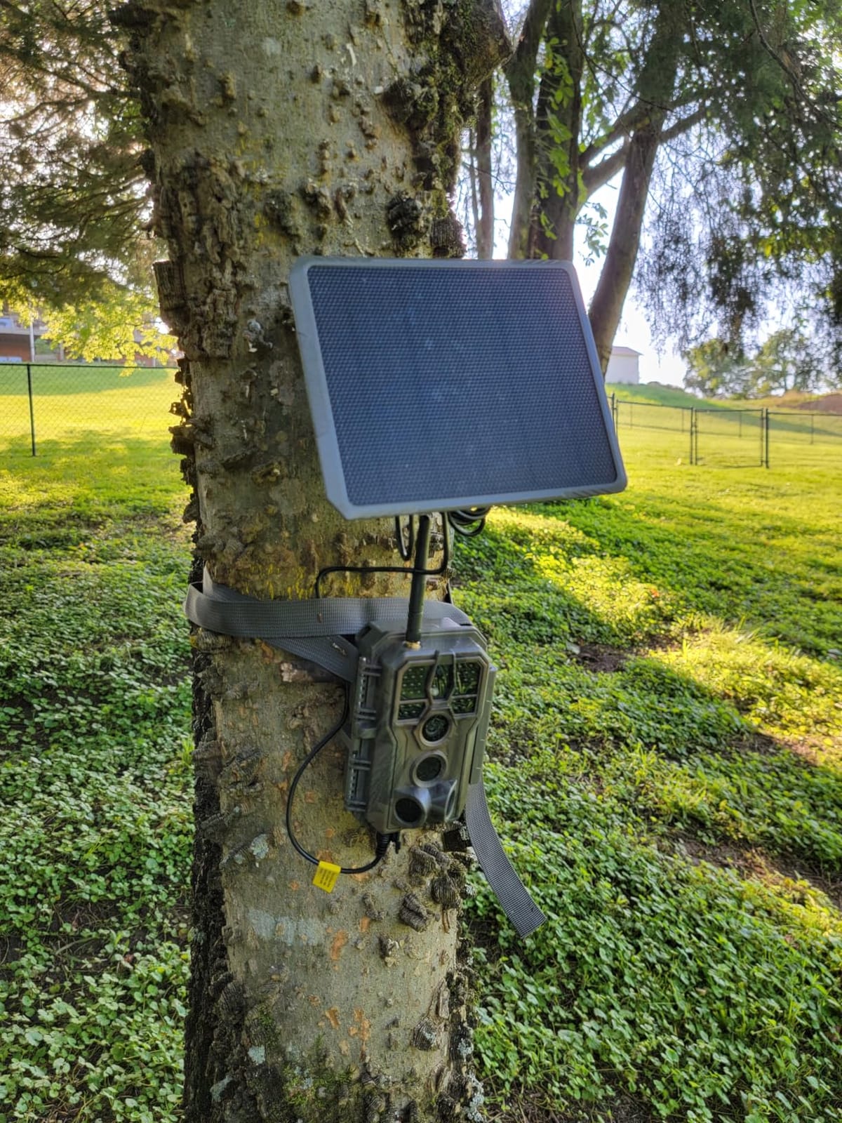GardePro SP300 3.5W Solar Panel for Trail Camera customer photo 1