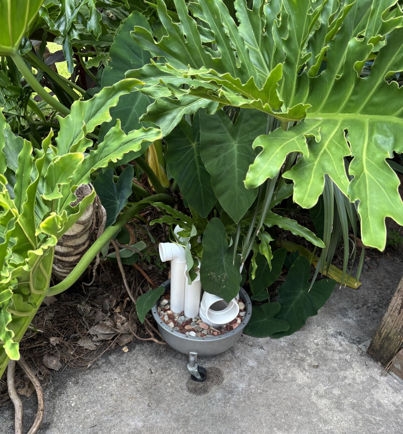 Nuanchu 5 Pieces Different Sizes Tree Frog Houses for Outside Tree Frog Habitat House for Outside Garden Hotel Nest Shelter Garden PVC Water Pipes of Different Sizes (White, Classic) customer photo 2