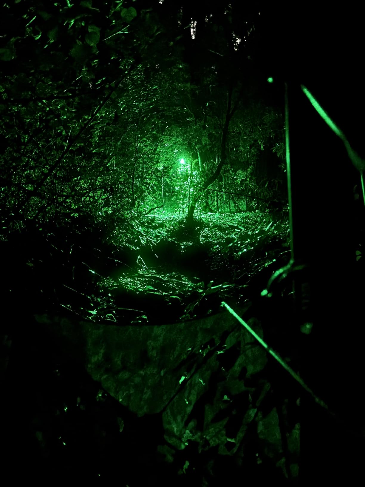 Hog Lights for Night Hunting - 12000LM Green Hunting Light for Hogs with Remote Control, Motion Sensor and Waterproof, Solar Powered Hog Feeder Light for Deer Coyote Varmint customer photo 1
