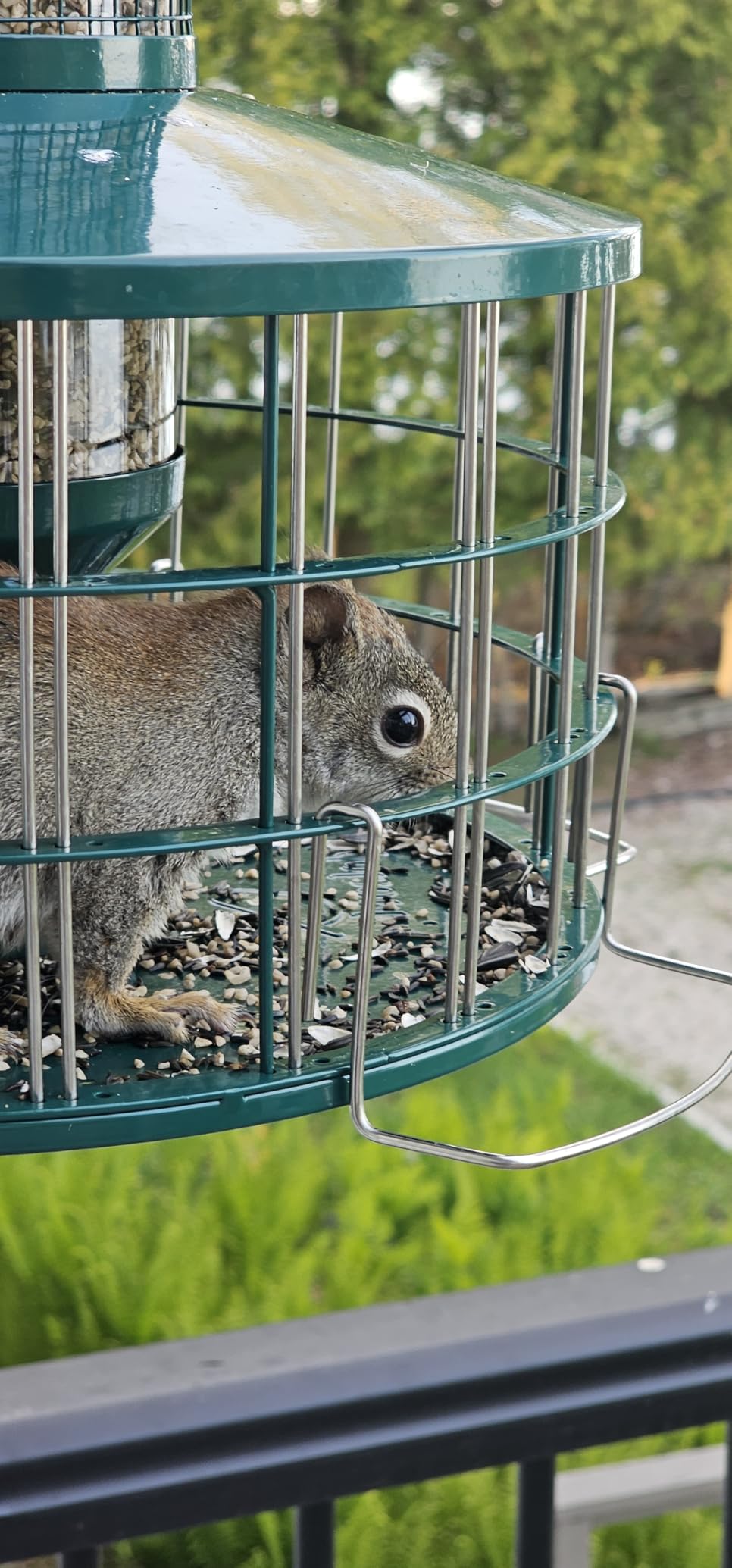 Upgraded Caged Bird Feeders Squirrel-Proof, Flexible Adjustment of Grille Size, 3 Lbs Seed Capacity, DIY Starling-Proof Caged Tube Hanging Wild Bird Feeder, Attract Small Birds(Deep Green) customer photo 2