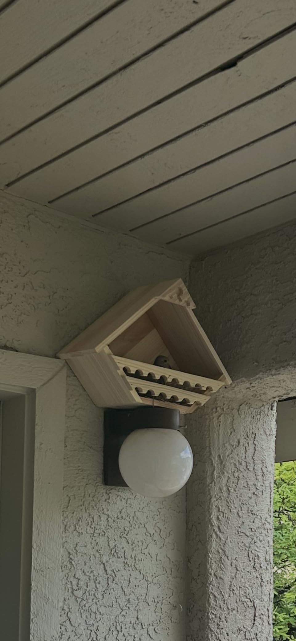 DoubleFill 1 Pcs Cedar Dove Nesting Box Bird House Outdoor Wood Triangular Opening Bird Box House for Doves Nesting and Roosting Platform Garden Decoration customer photo 2